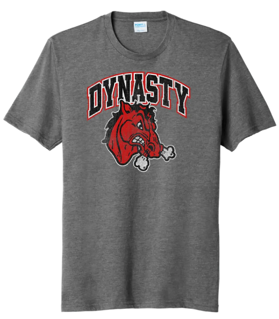 Steubenville Big Red Distressed Dynasty Tri-Blend Tee