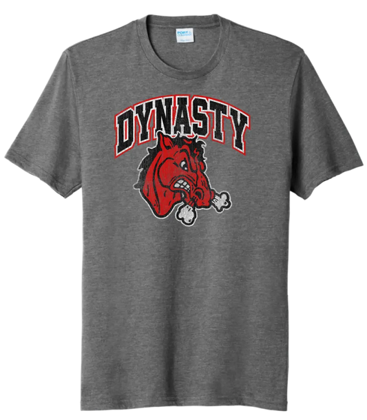 Steubenville Big Red Distressed Dynasty Tri-Blend Tee
