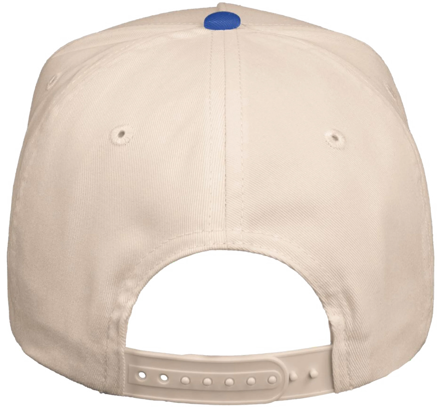 Valucap 8869 Natural-Blue Back