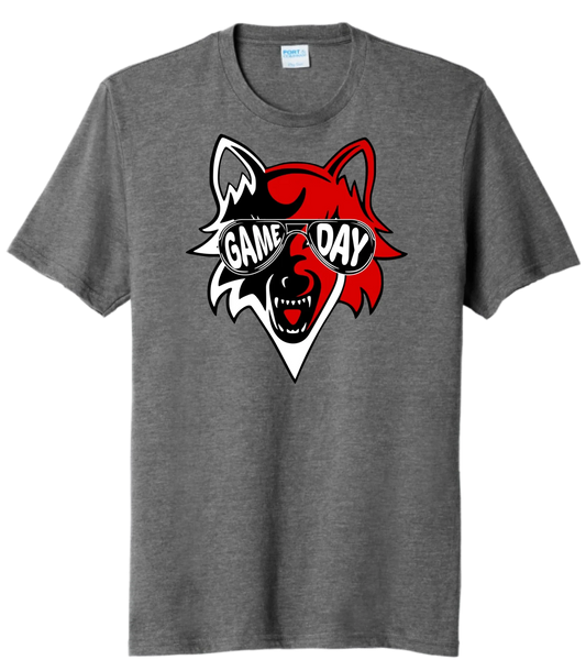 Cuyahoga Heights Game Day Sunglasses