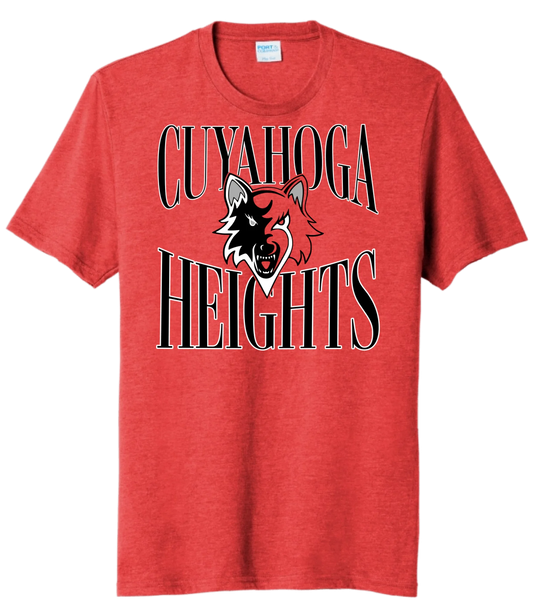 Cuyahoga Heights Arches