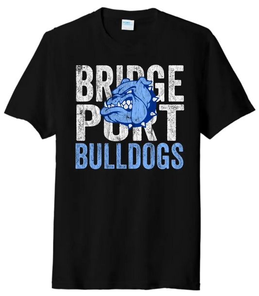 Bridgeport 2023- 01 Distressed Tri-Blend Tee