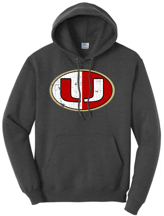University Distressed Logo Core Fleece Hoodie