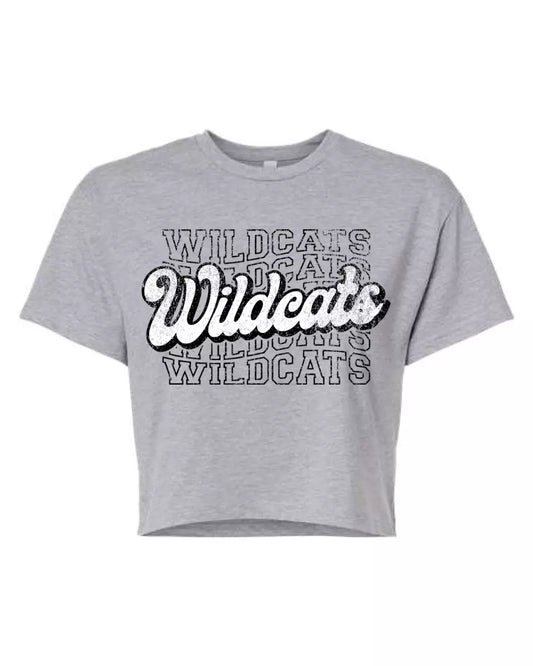 Edison 2024 103 Women's Ideal Crop Top