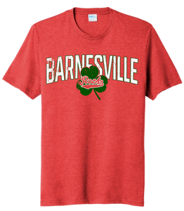 Barnesville 2024 100 Tri-Blend Tee