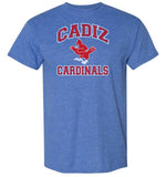 Cadiz Cardinals Vintage Fighting Distressed Gildan DryBlend T-Shirt