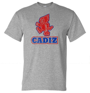 Cadiz Cardianls 1981 Gildan DryBlend T-Shirt